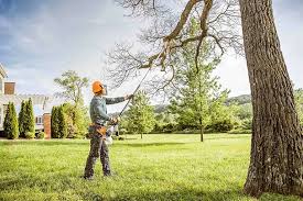 Best Hedge Trimming  in Brownsville, LA