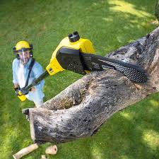 Best Lawn Maintenance Plans  in Brownsville, LA